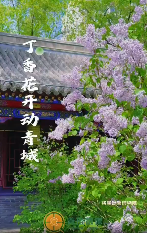 屏幕截图 2025-05-08 085525.png